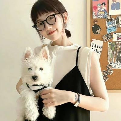 神台猫粤语